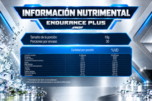 ENDURANCE PLUS-Preworkout 300 g